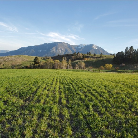 Meet your Posher, Paige - Picture 1 of 1